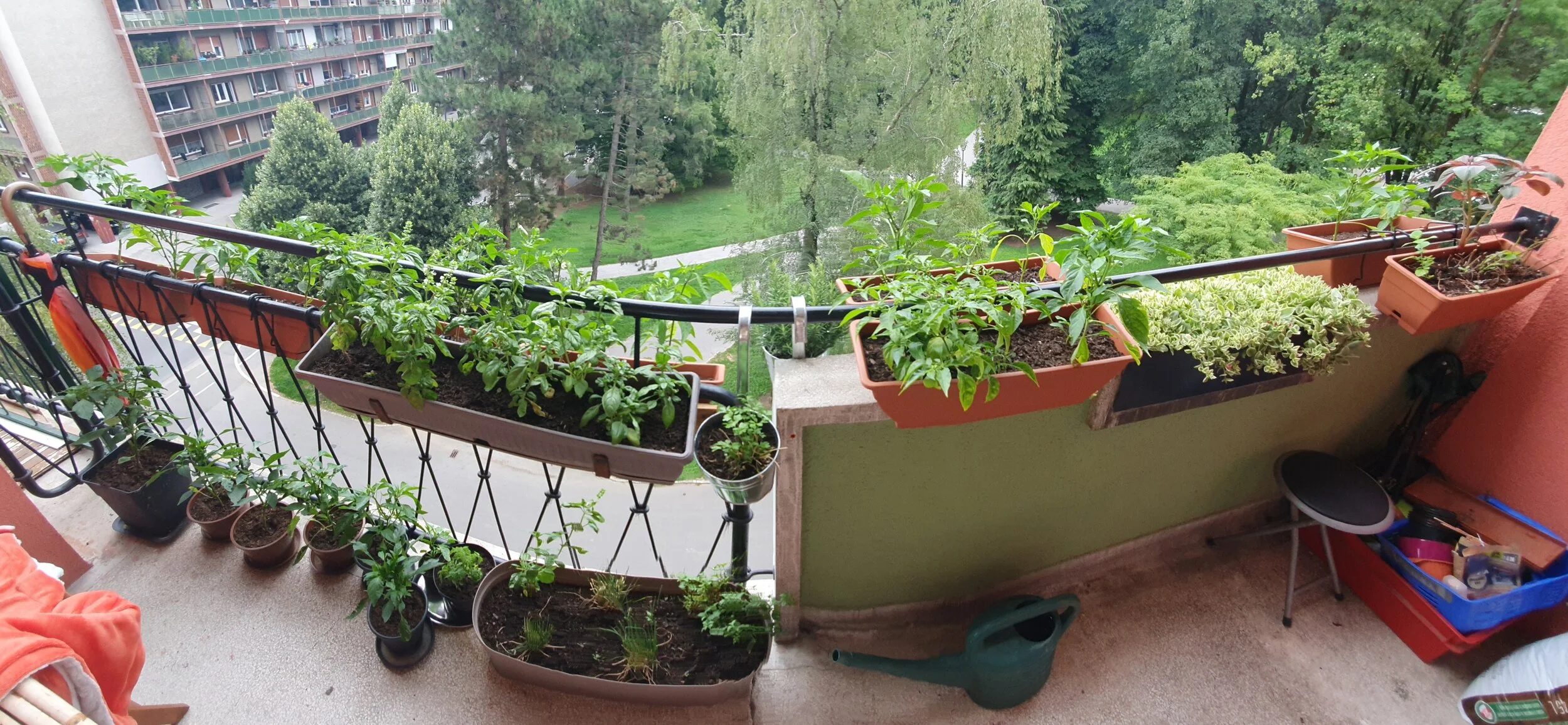 MKC blog #13 - Utrinki (nove) normalnosti