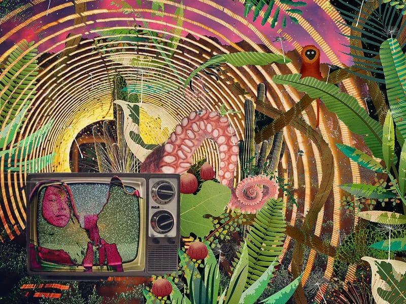 mindgarden.jpg