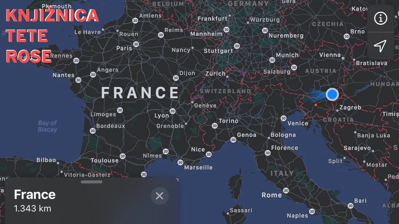 Snemamo, akcija! Če policijskega nasilja ni, zakaj ga je potemtakem prepovedano posneti?