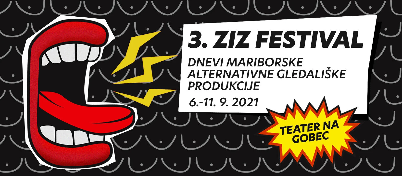 3. ZIZ festival in 8. gala podelitev ZIZ nagrad