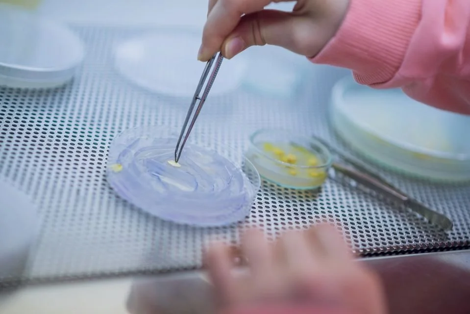 konS @ Inkubator // Sluzovedneži