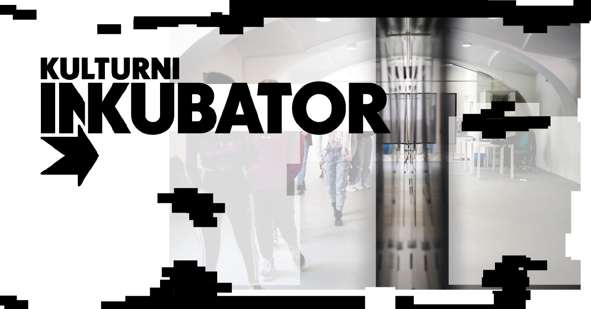 NOVI INKUBATOR