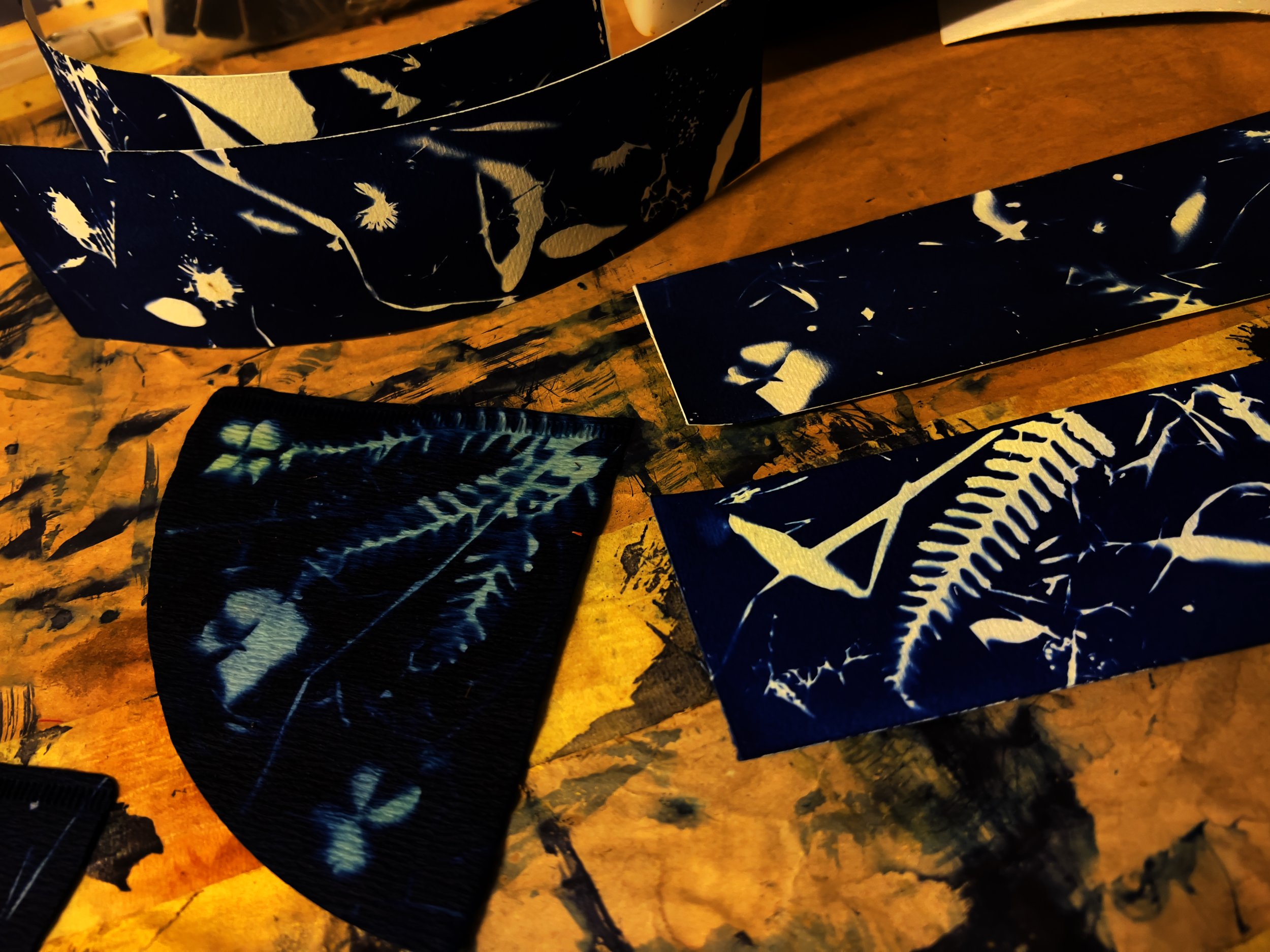 Delavnice cianotopije (modrotiska)