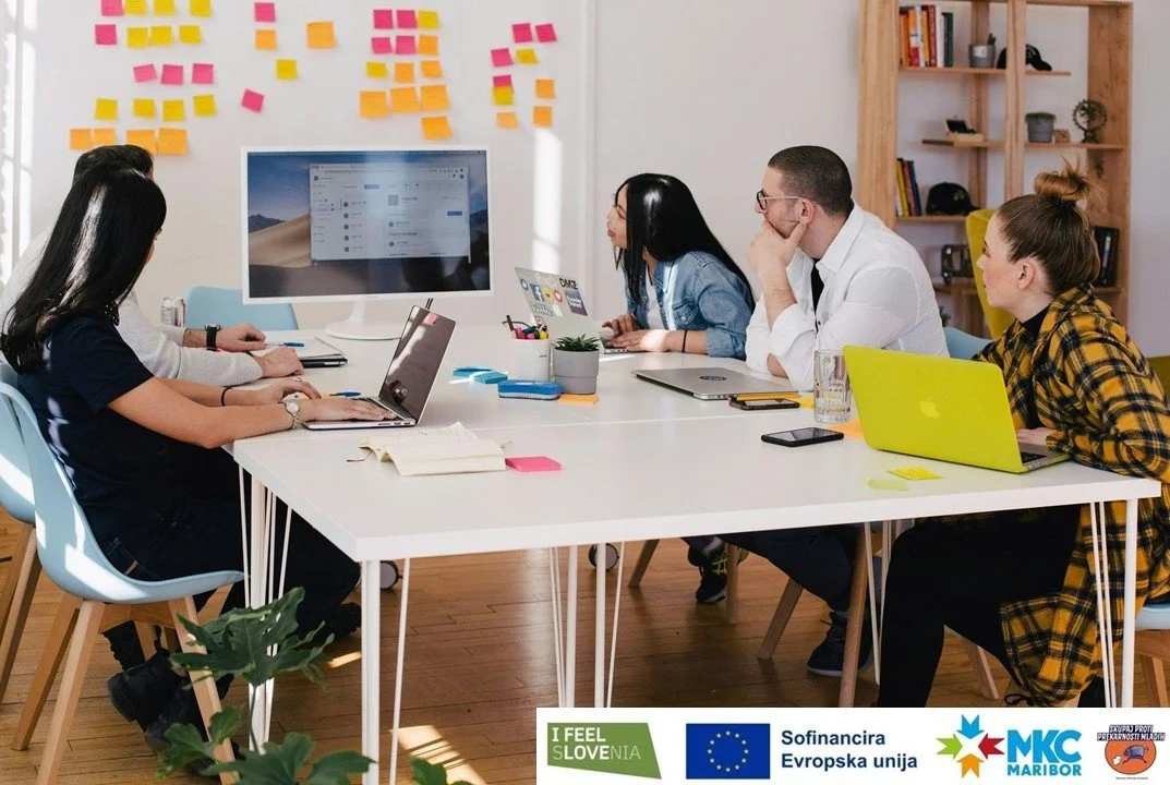 Usposabljanje: Skupaj proti prekarnosti mladih