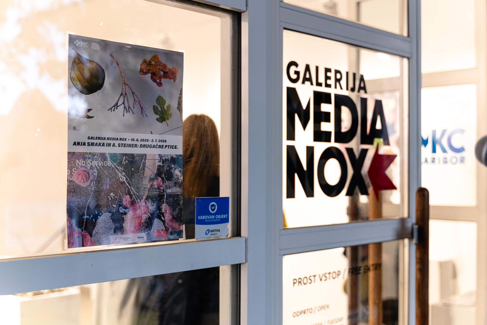 Galerija Media Nox poleti vabi tudi ob nedeljah