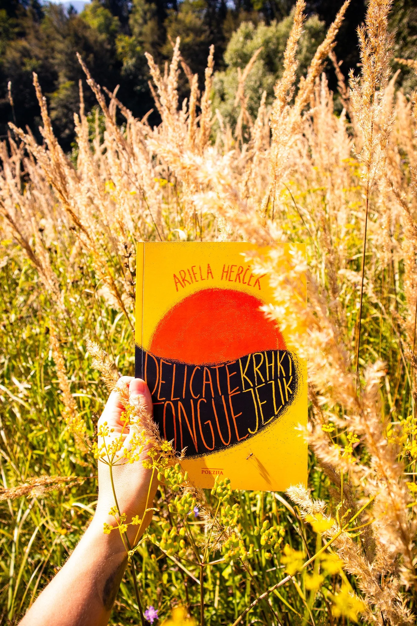 Ožuljeni jezik z gostjo Arielo Herček