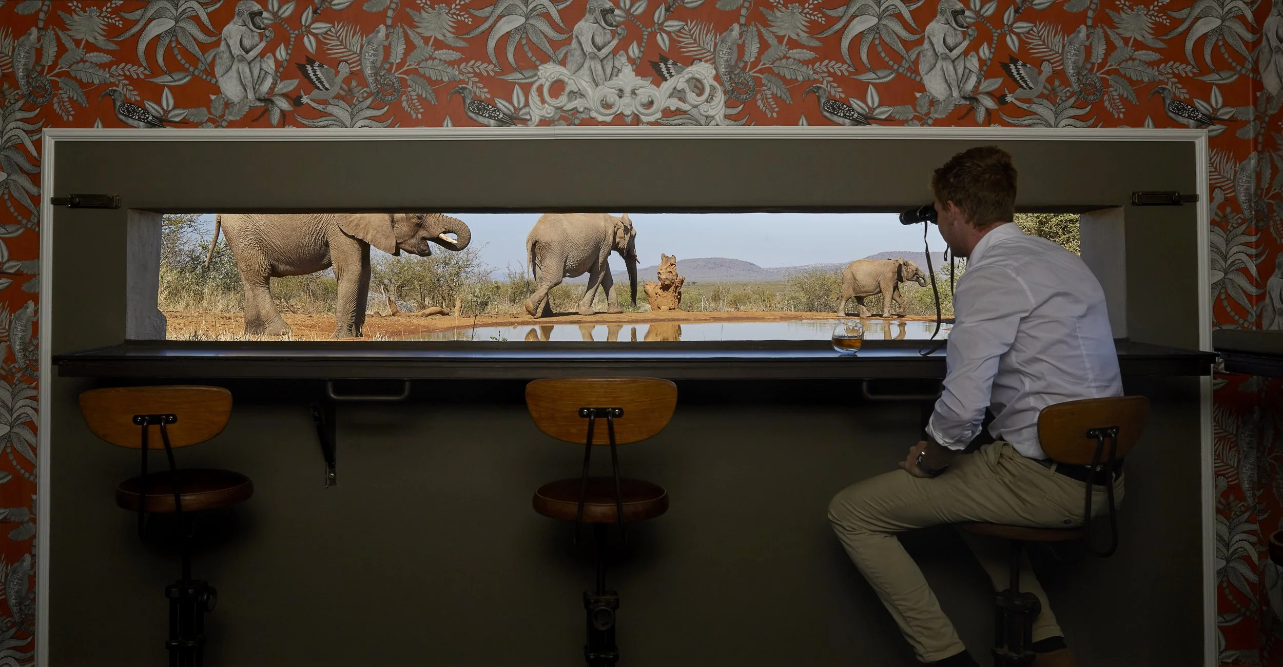 Molori Luxury hide view over waterhole hi res.jpg