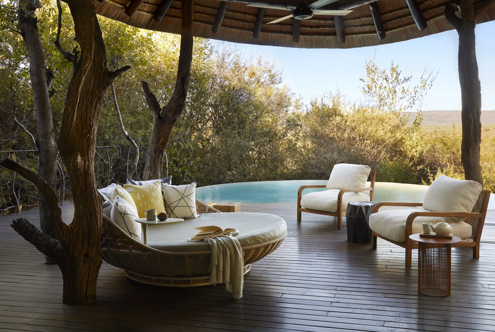 Molori Sephiri deck hi res.jpg