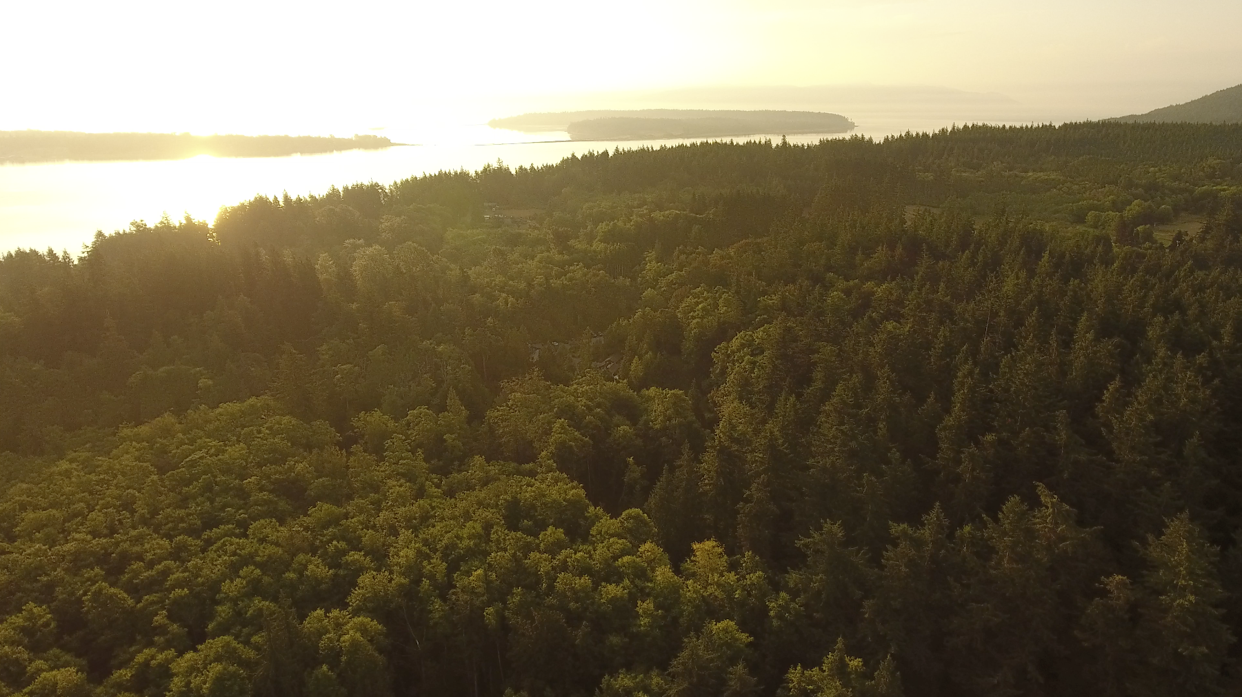 2016 Lummi Island Seminar Review