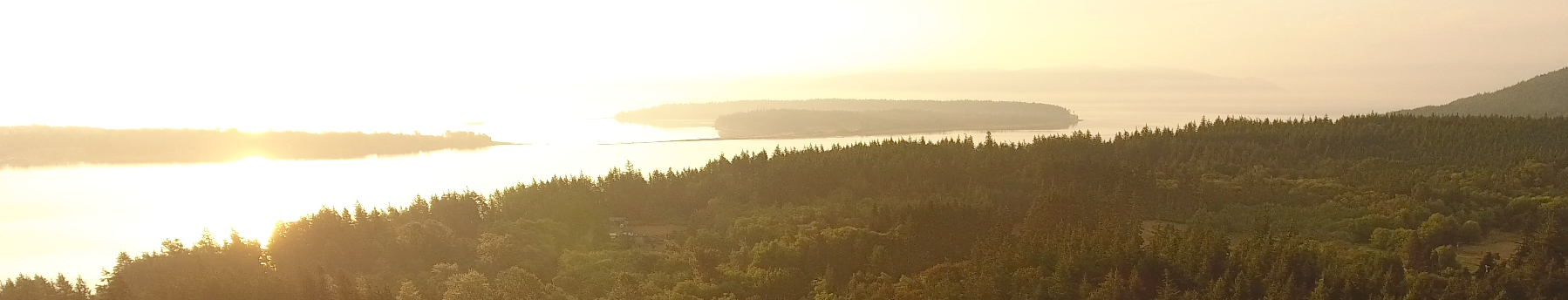 Lummi pic.png