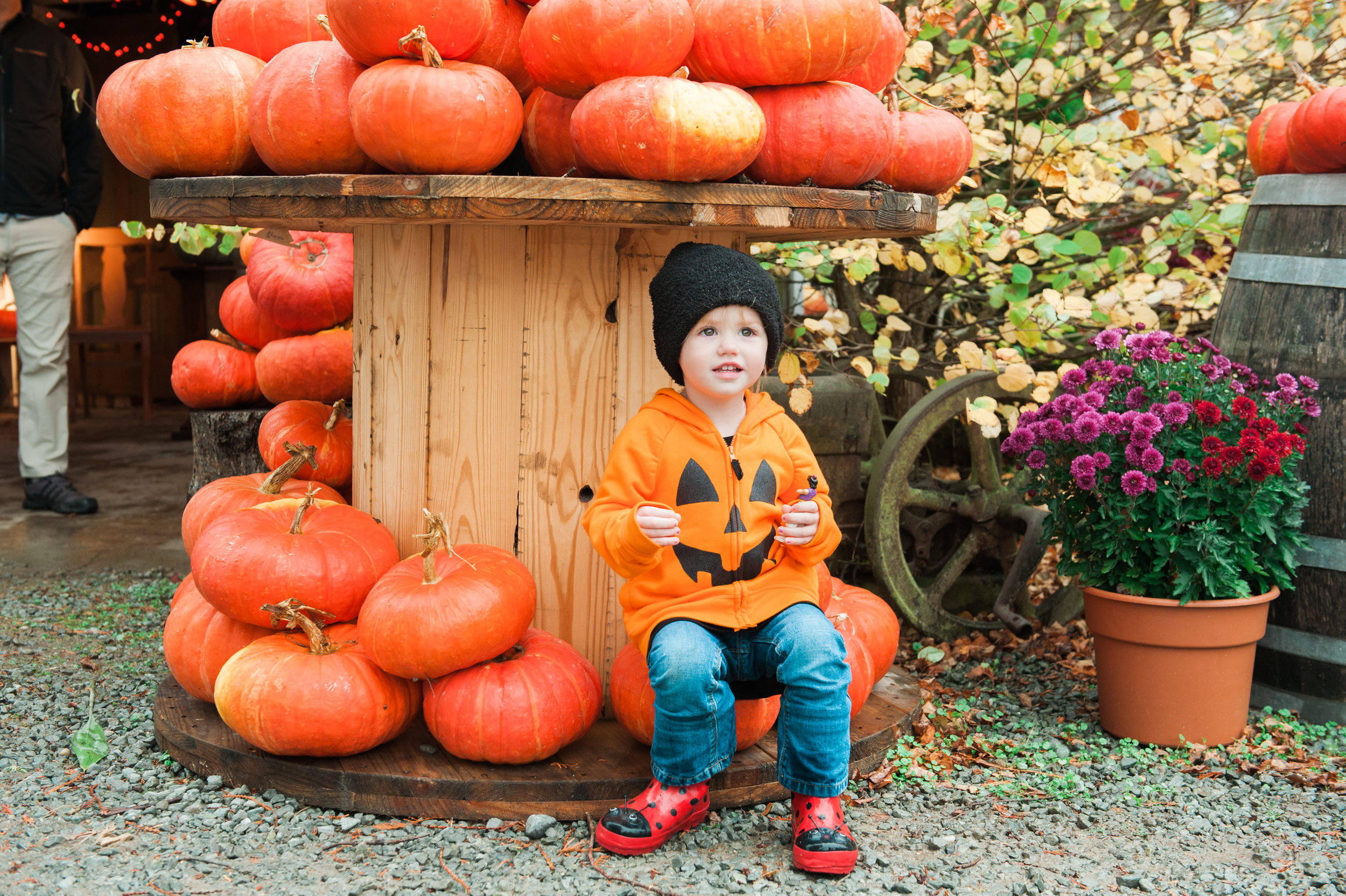 pumpkins (3 of 13).jpg