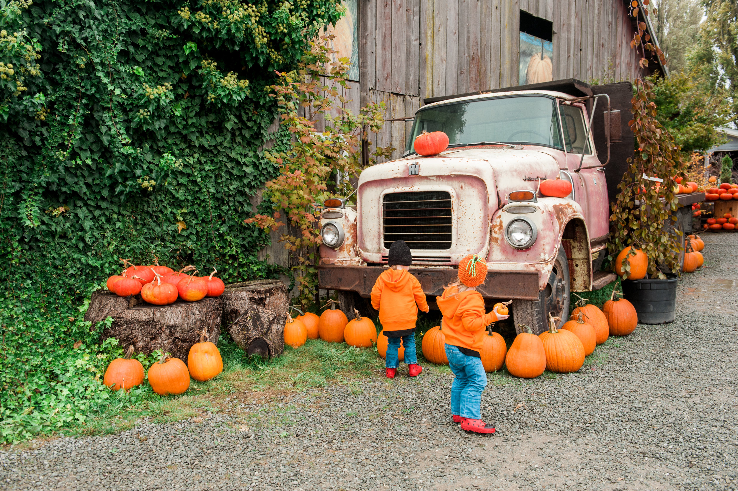 pumpkins (4 of 13).jpg