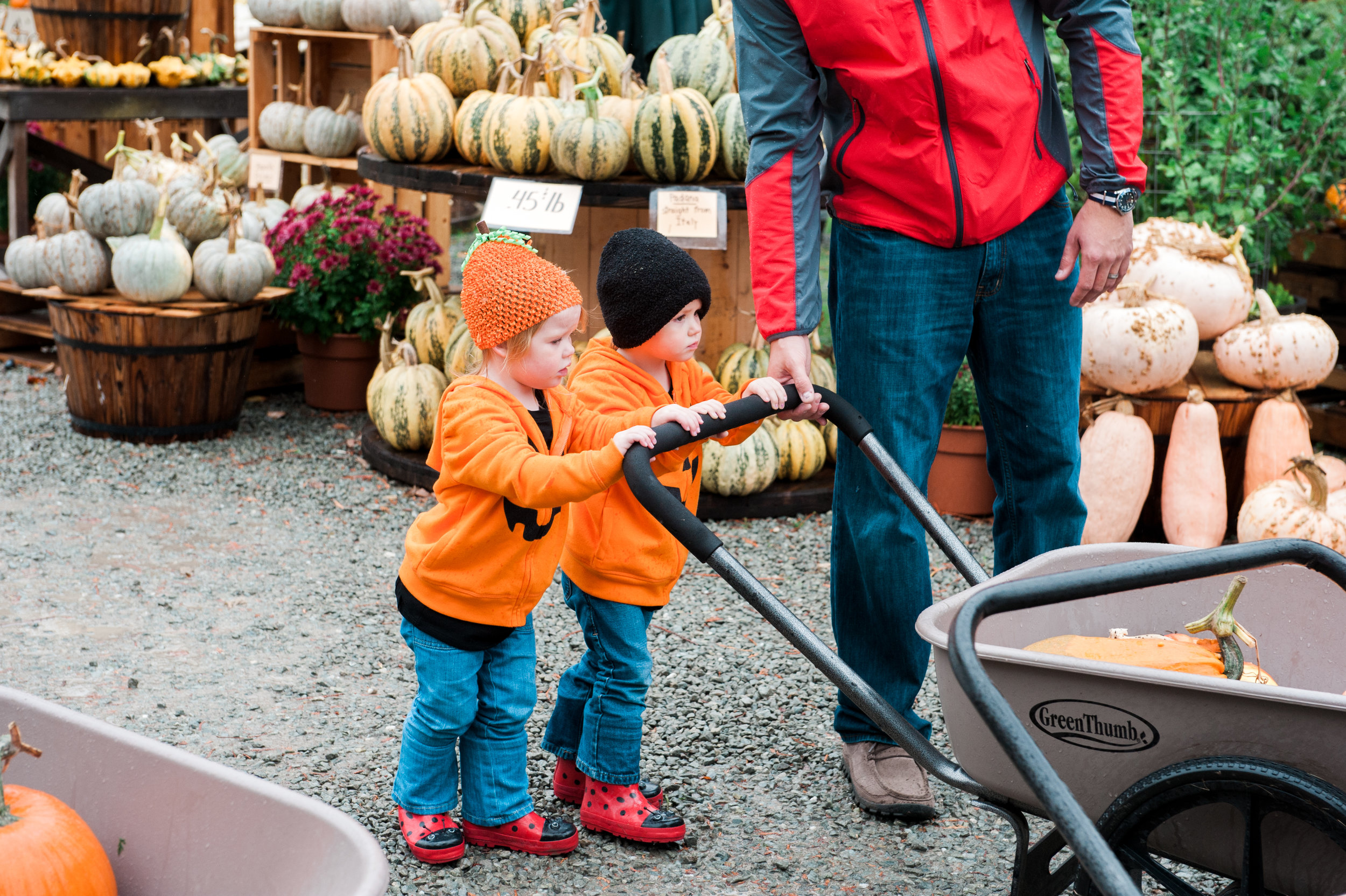 pumpkins (10 of 13).jpg