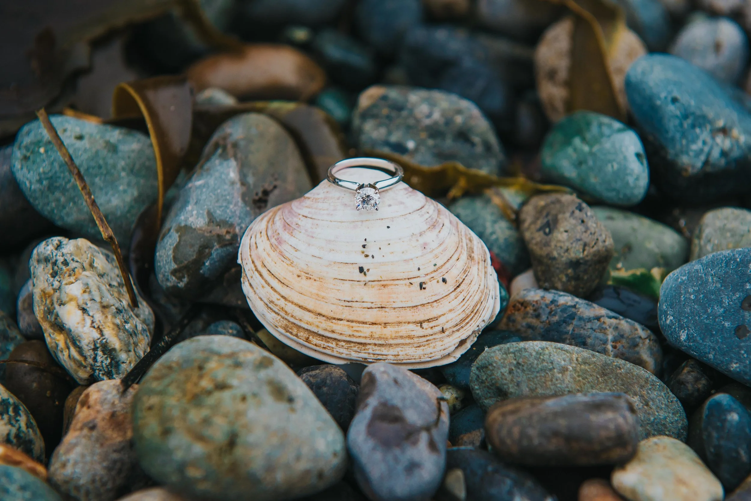 Whidbey-Island-Wedding-Photographer-J-Hodges (1 of 1)-7.jpg