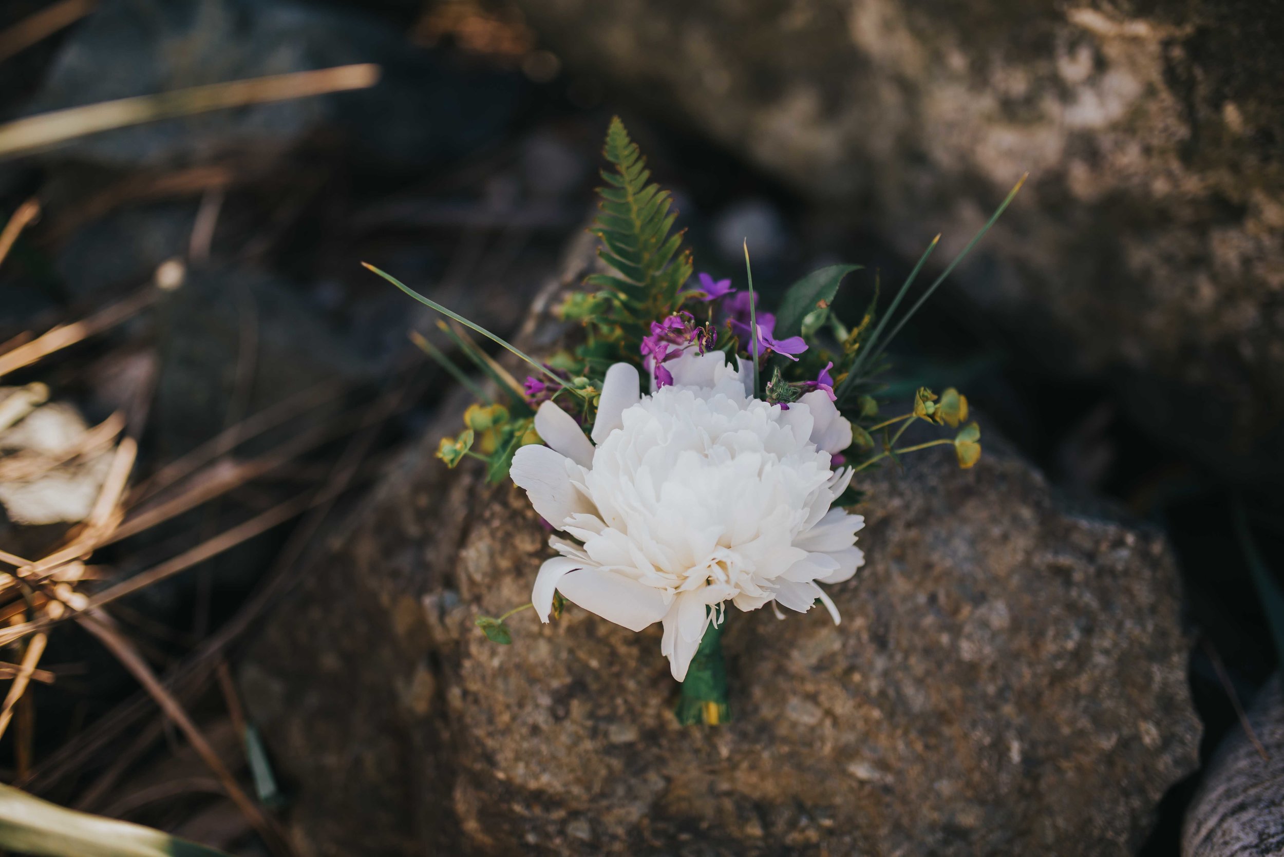 whidbey-elopement-photographer-8.jpg