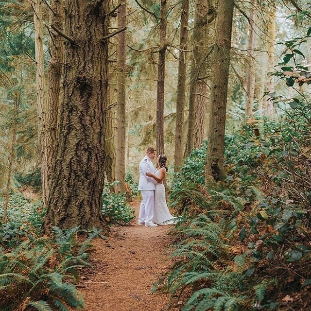 During this crazy time, I am grateful that the state parks and trails are open.  Revisited this wooded trail (pictured) the other day, that I hadn&rsquo;t visited in a long, long while.  It was so nice to just listen to the birds (...and my kids belt