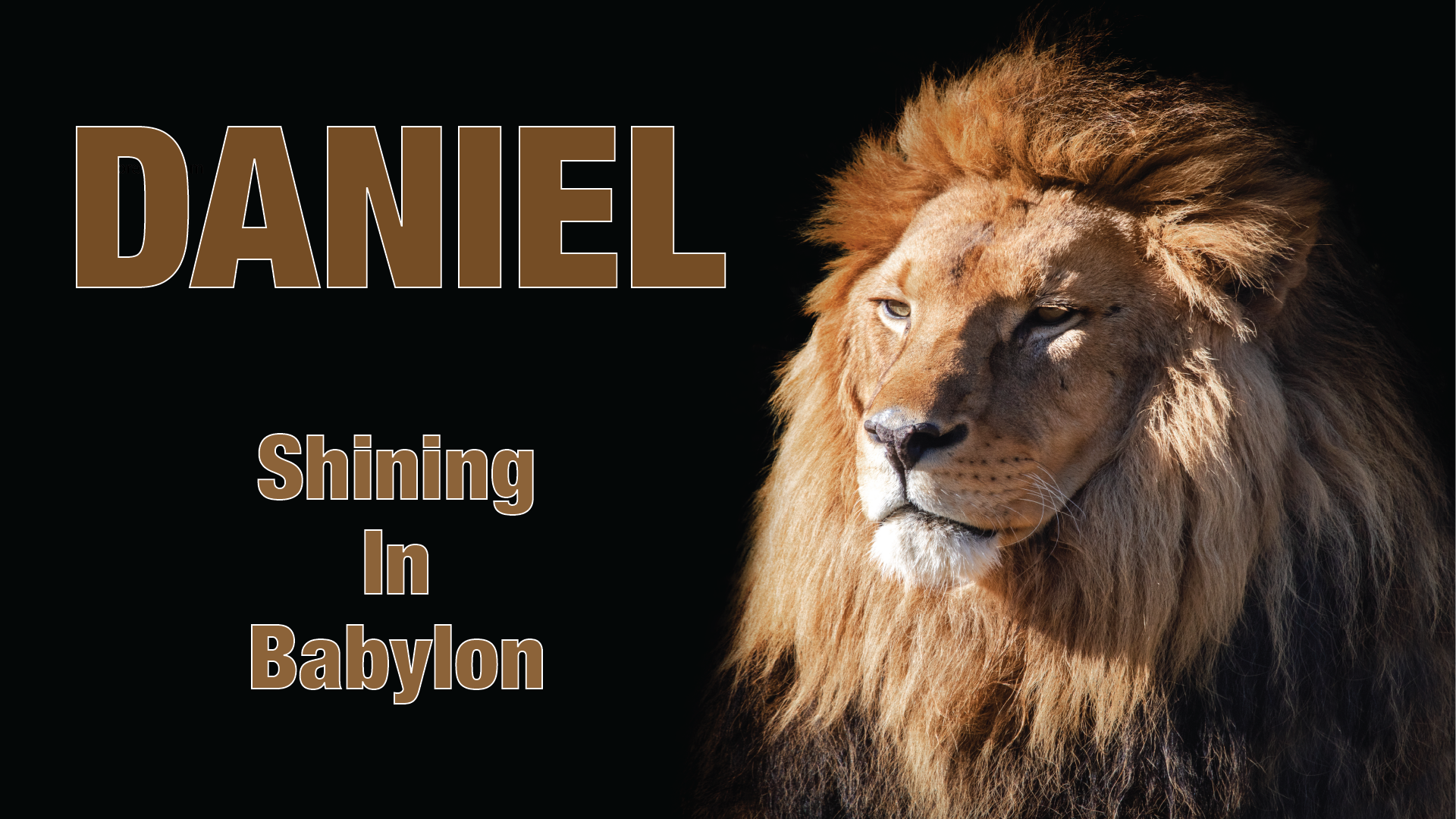 Stand:  Daniel Part 7