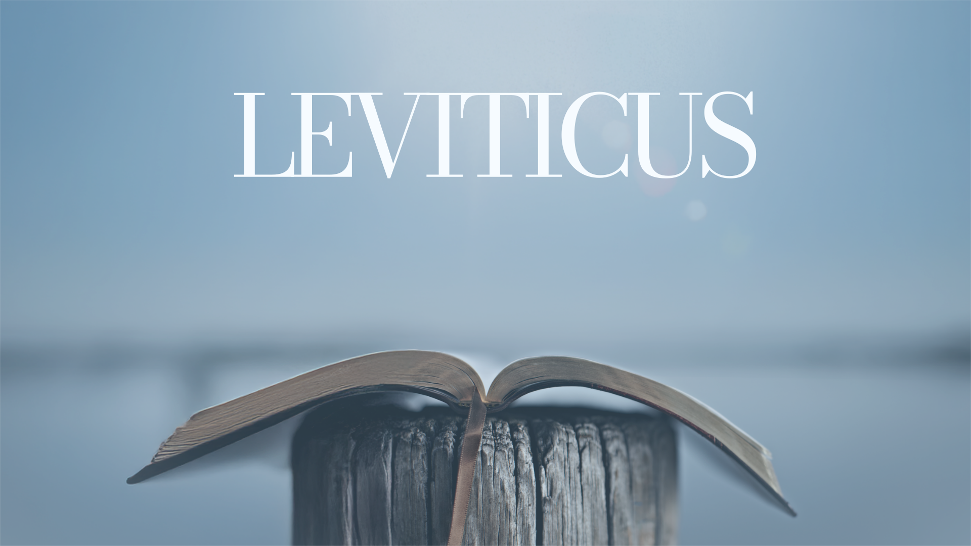 Leviticus Part 8: The Law