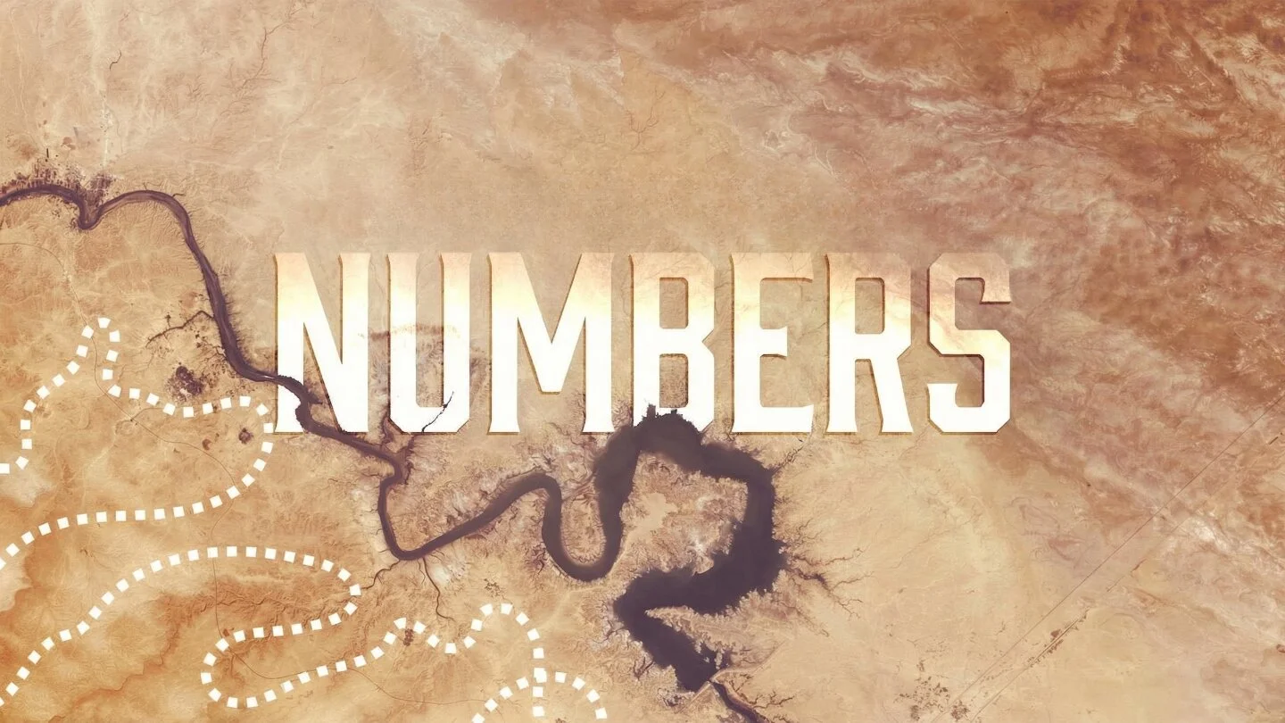 Numbers Part 12: Sheep Without A Shepherd episode artwork