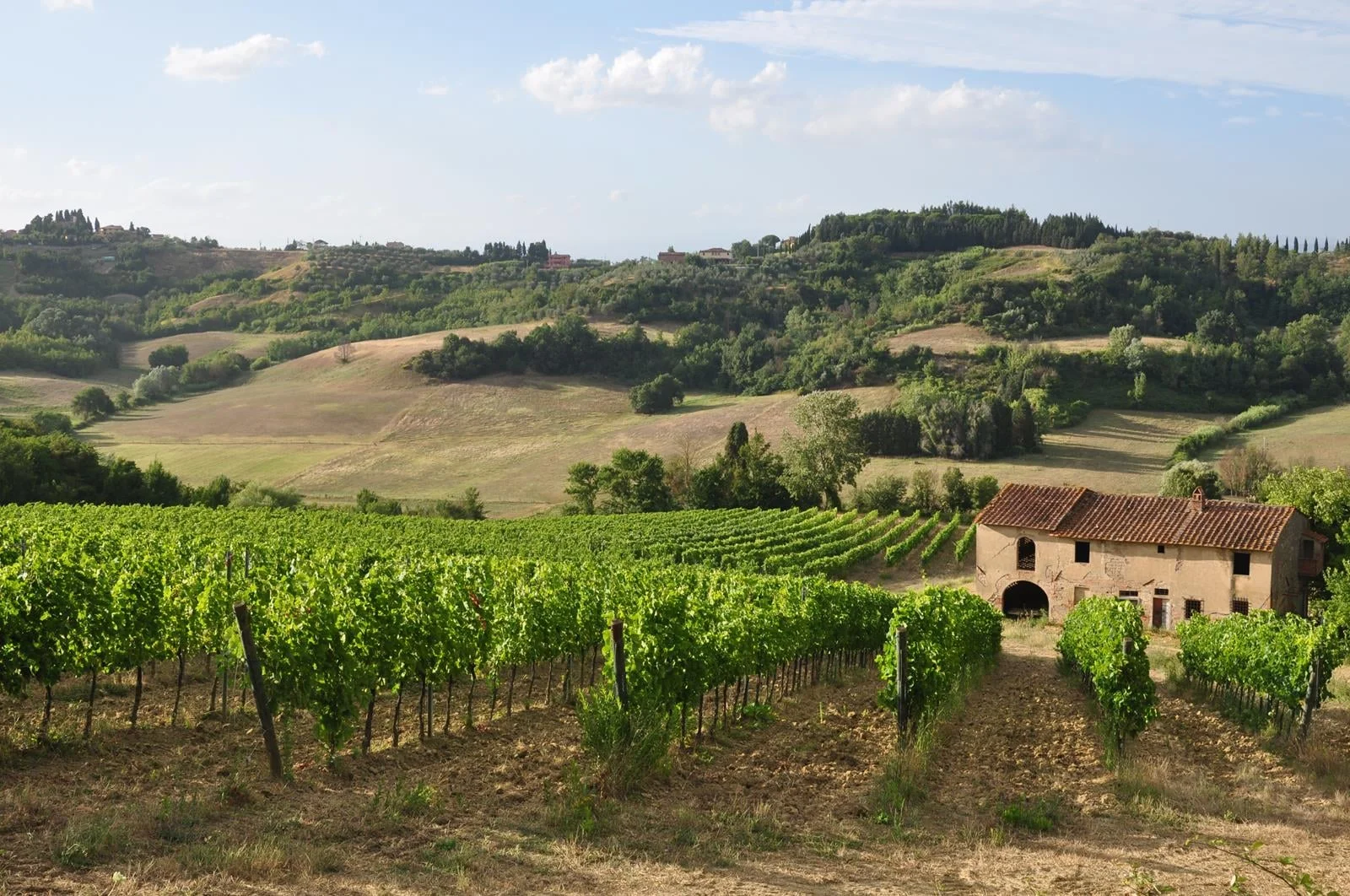 Fattoria Di San Quintino.jpg