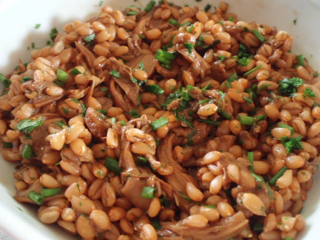 Farrotto ai porcini