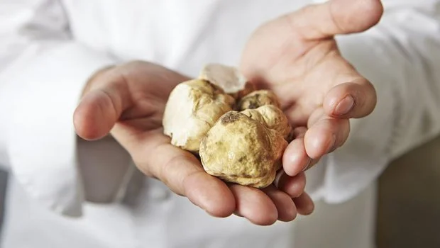 Women, Wine and White truffle tasting and dinner
