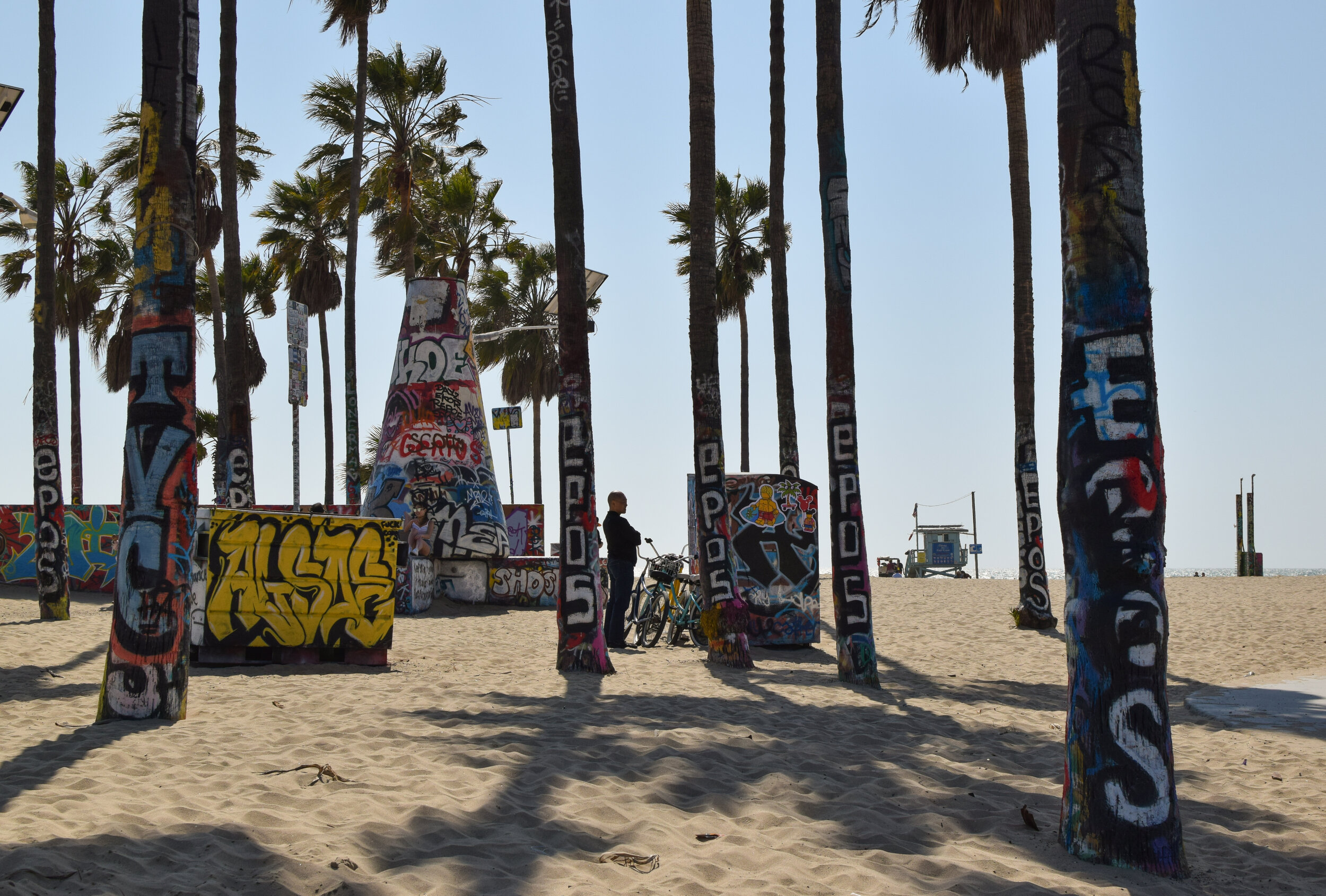  Venice Beach, Los Angeles 