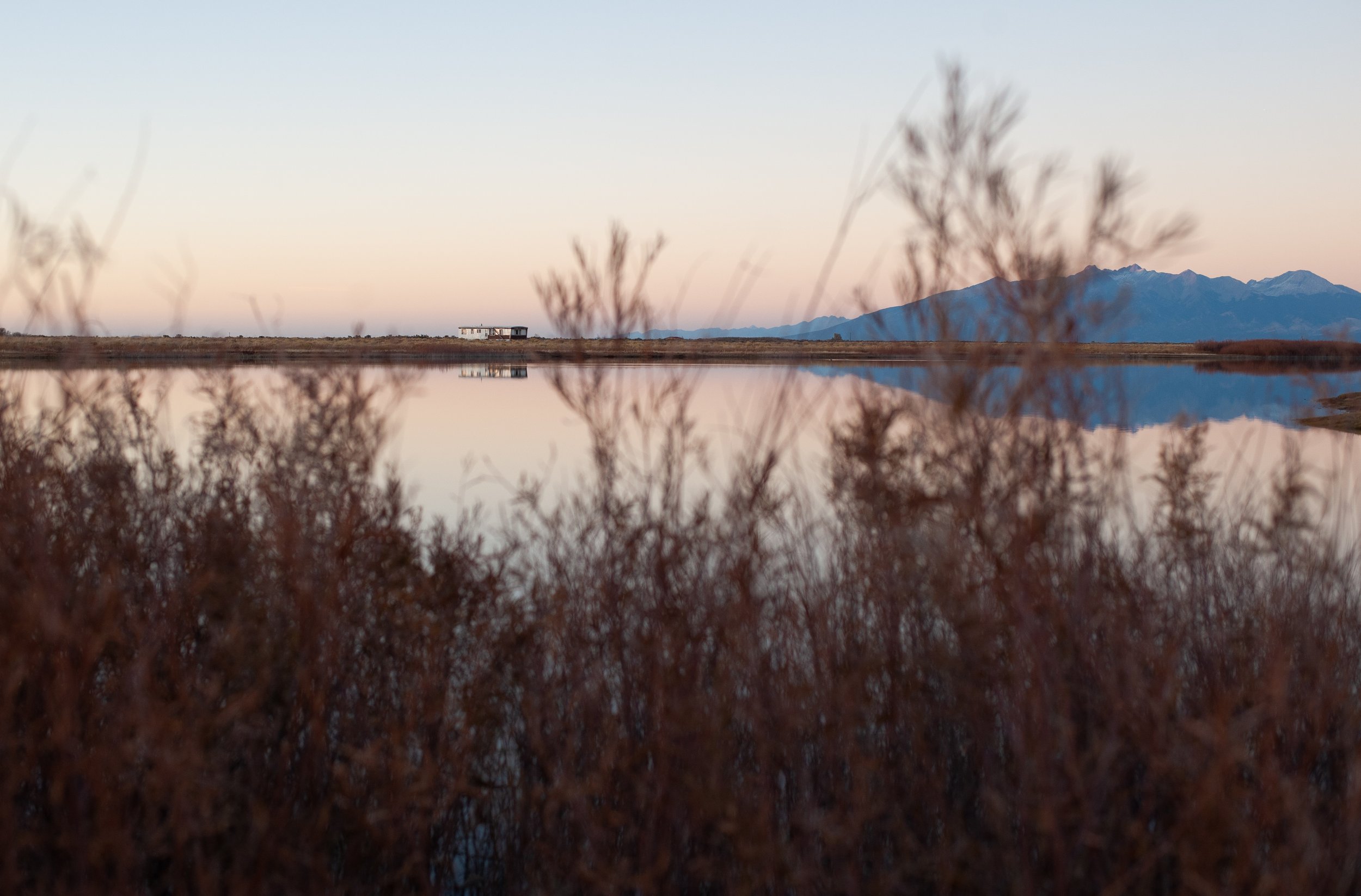 DSC_3259.jpg