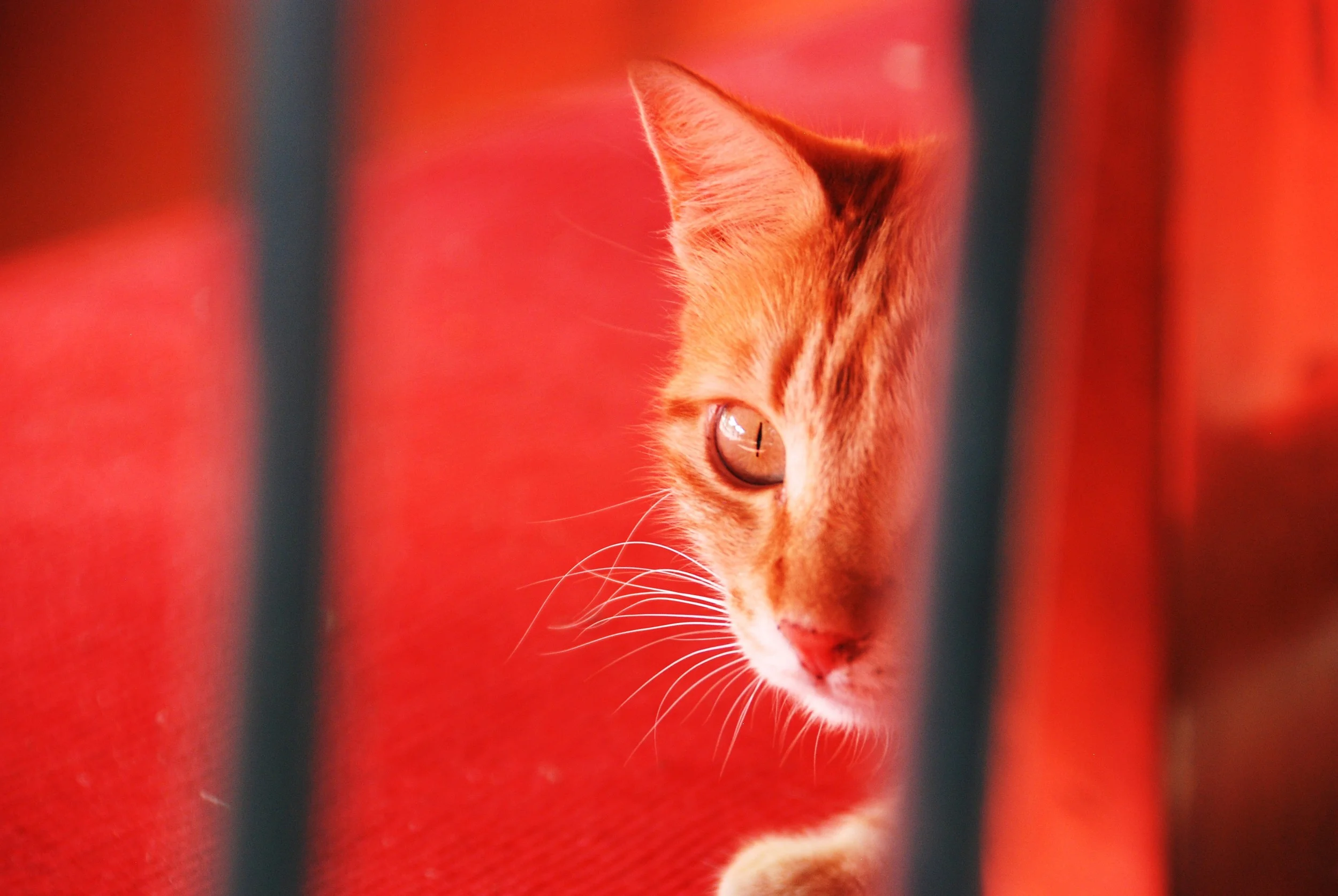 greece and turkey 379.JPG