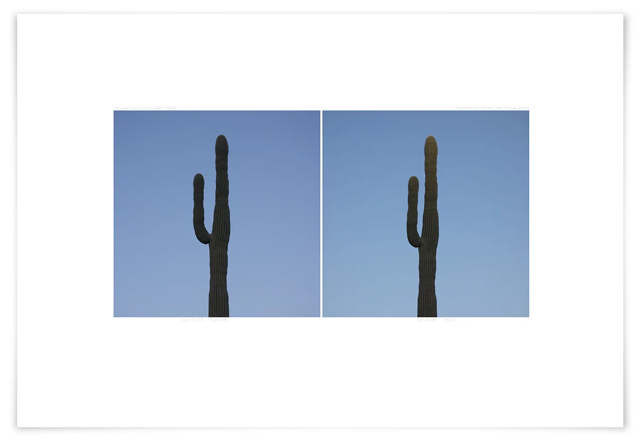 The Sykes Crater Saguaro (CG03 140417) 16 x 24 in (41 x 61 cm)