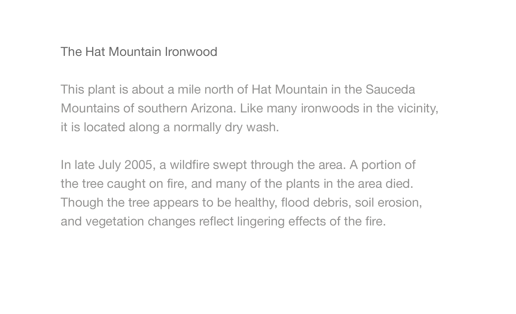 Hat Mtn Ironwood2.jpg