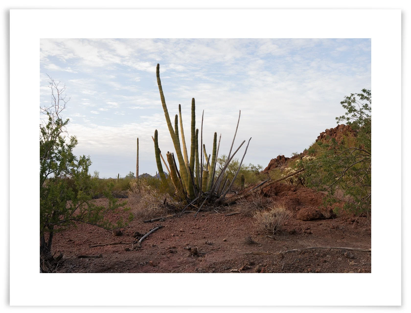  118th visit. 5:03:58 PM  January 3, 2026                 