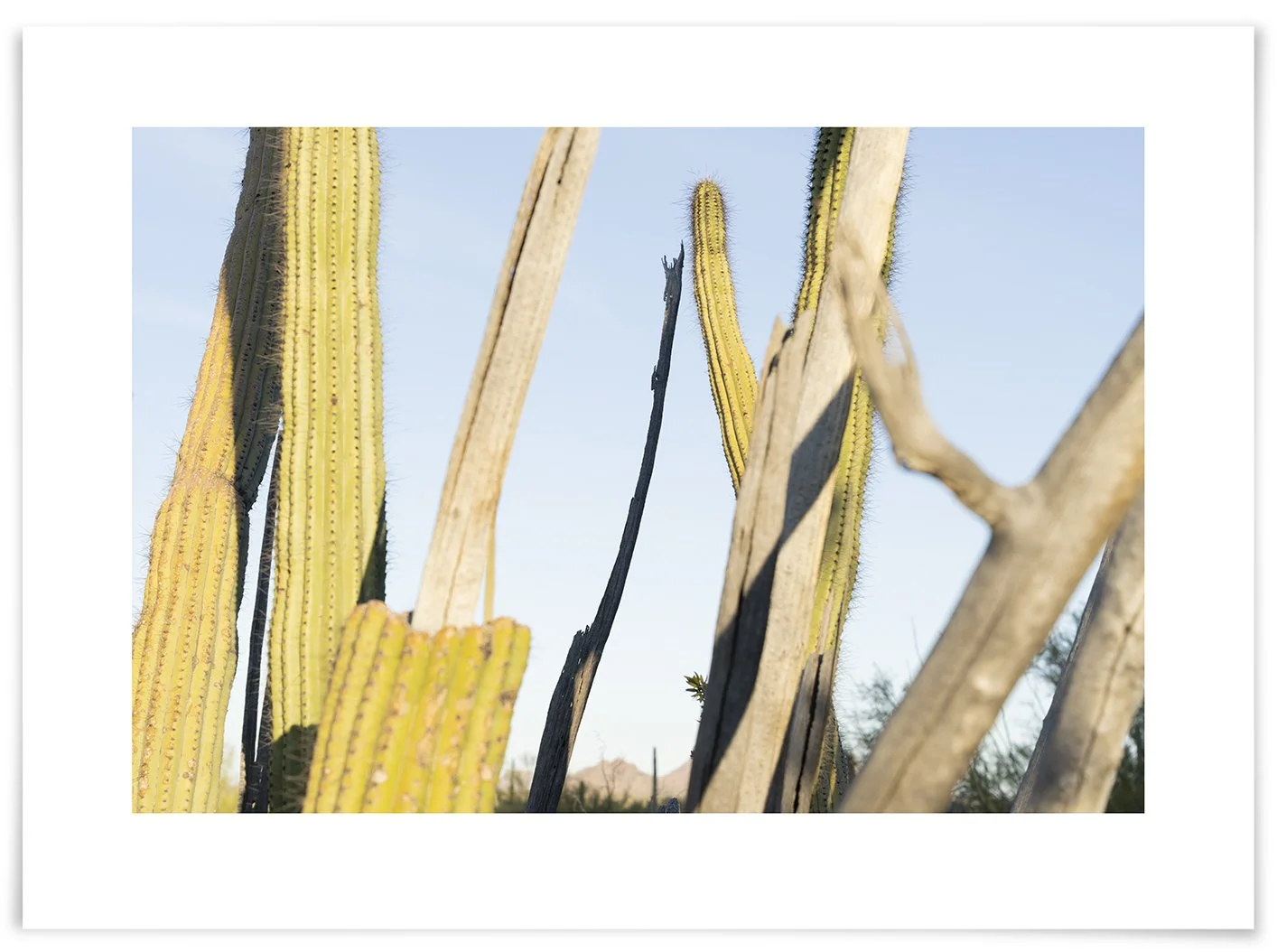  119th visit. 8:07:30 AM  February 6, 2026                 