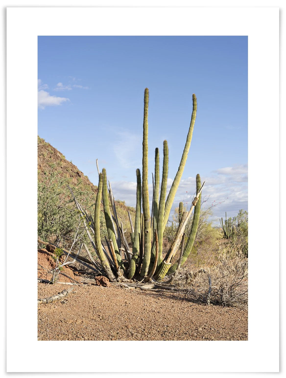  120th visit. 5:00:44 PM  March 10, 2026                 