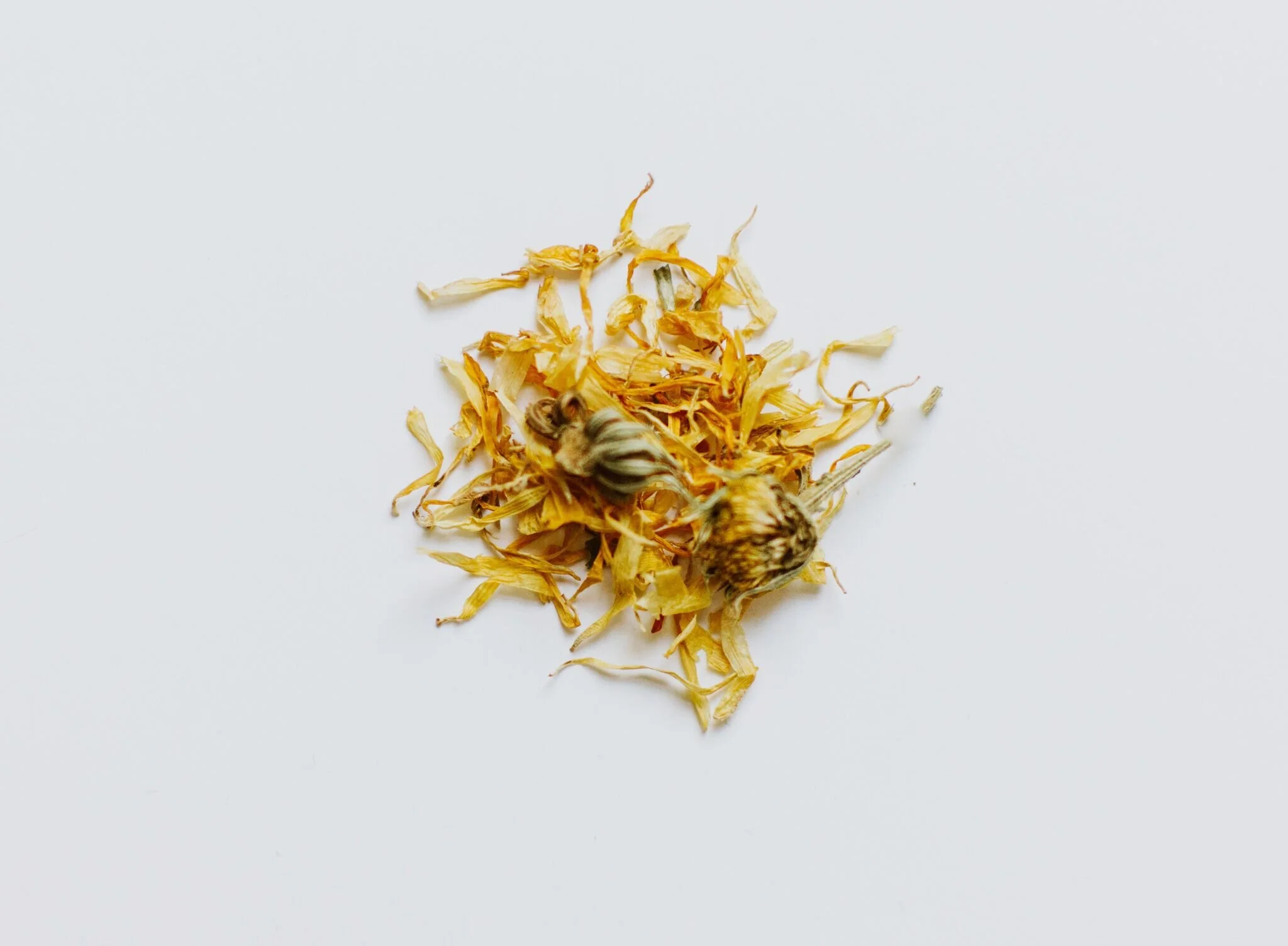 calendula.jpeg