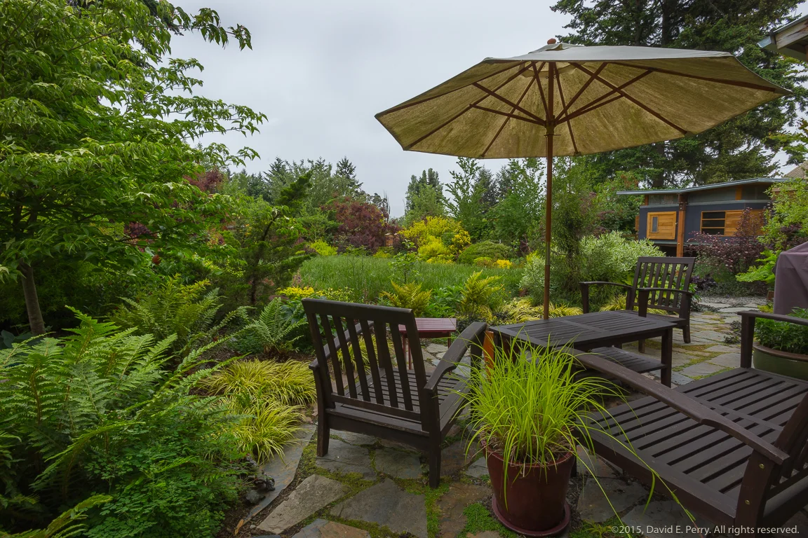 20150519_DPP-203-HDR.jpg