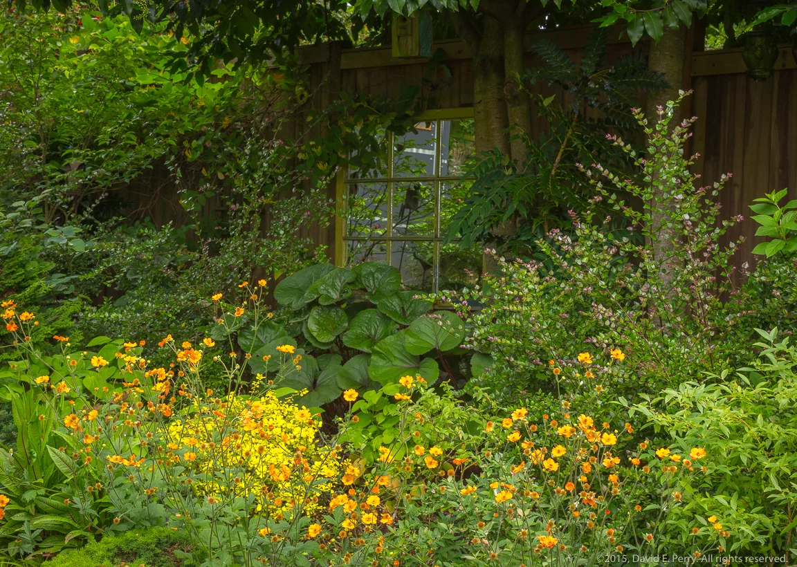 20150519_DPP-264.jpg