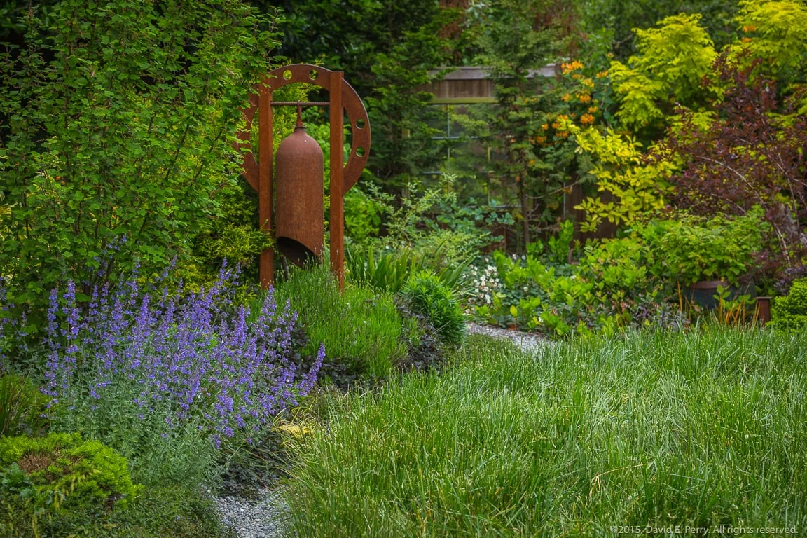 20150519_DPP-106.jpg