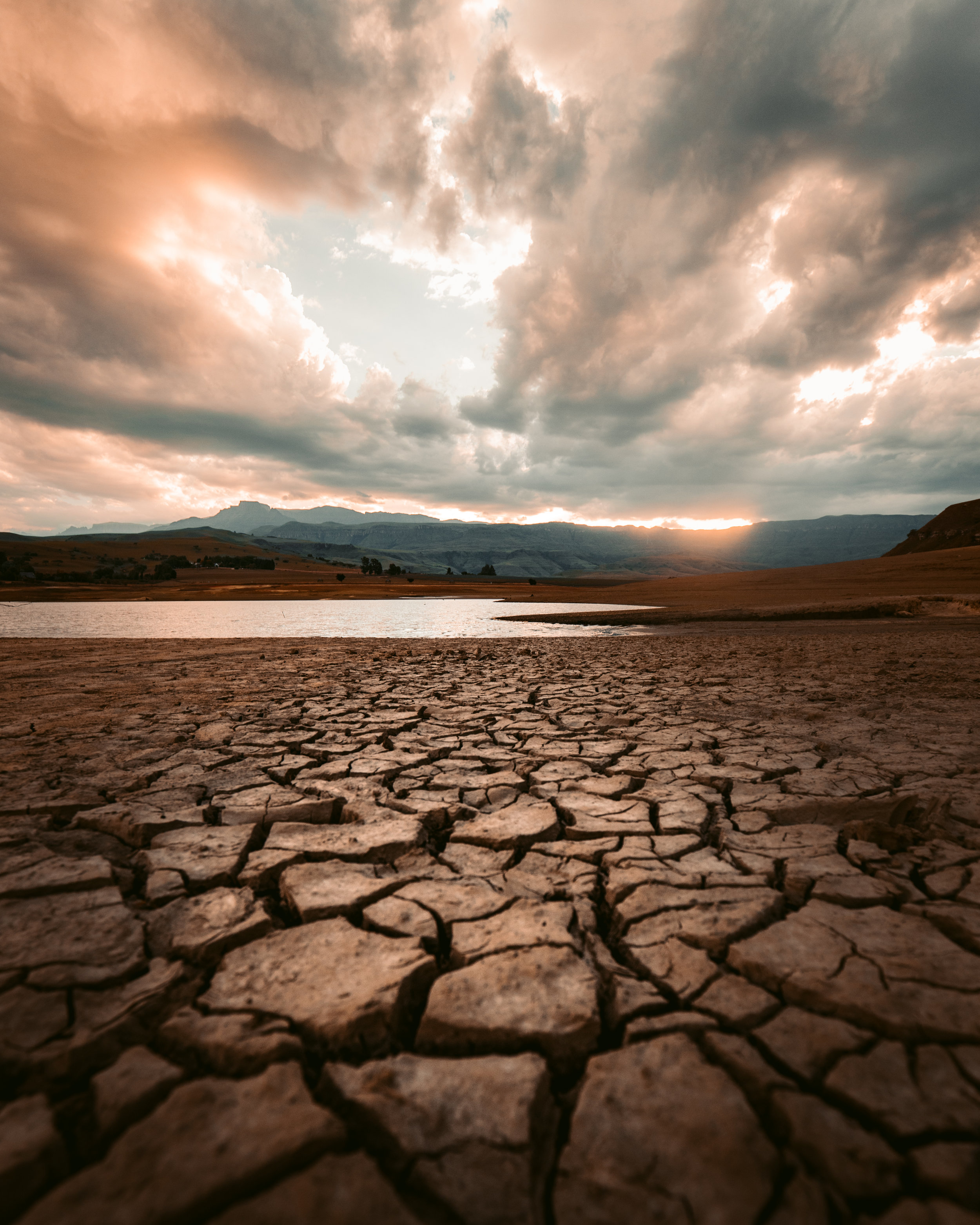 Photo by redcharlie on Unsplash