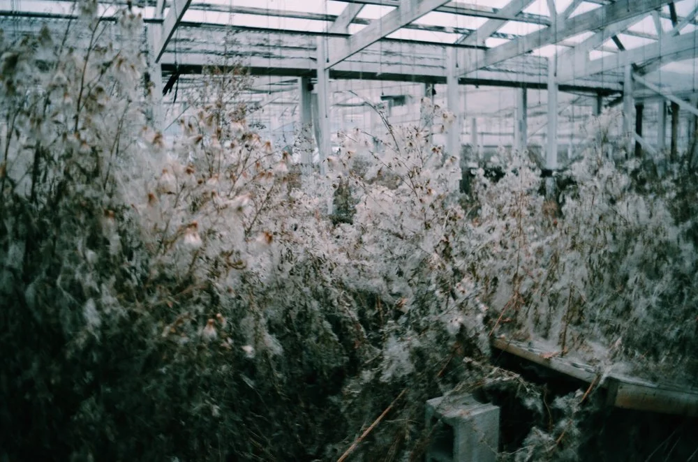Deathbeds