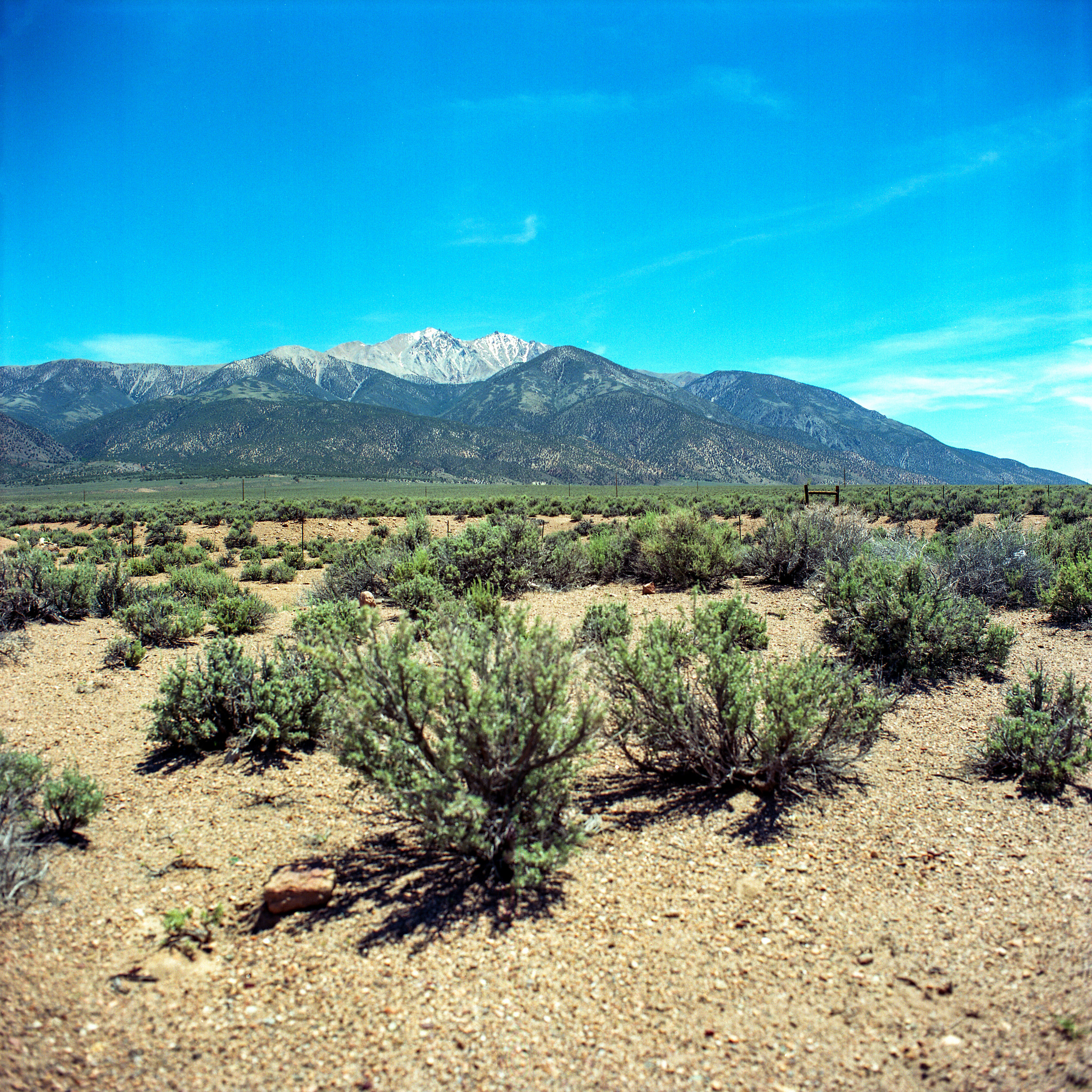 Desert landscapes with Sugarloaf mountain in the distance.
