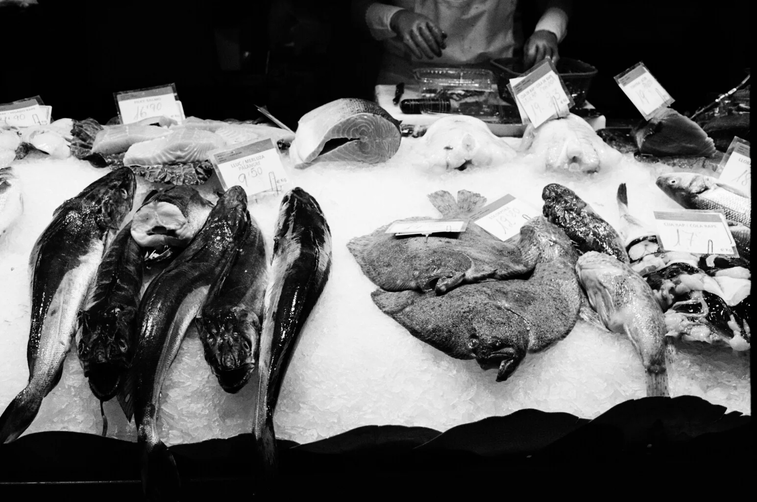 Fresh Fish
