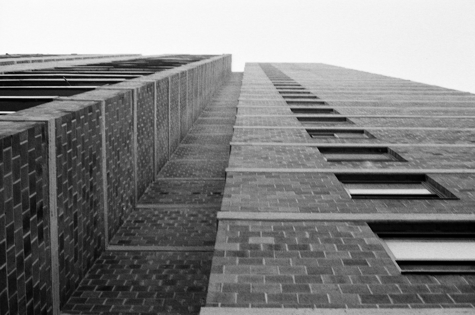 HP5 (1c5).JPG