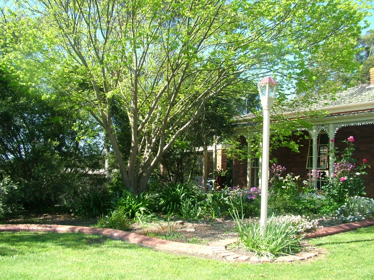 DSCF3616.JPG