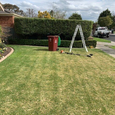 Lawn Maintenance Berwick.jpeg