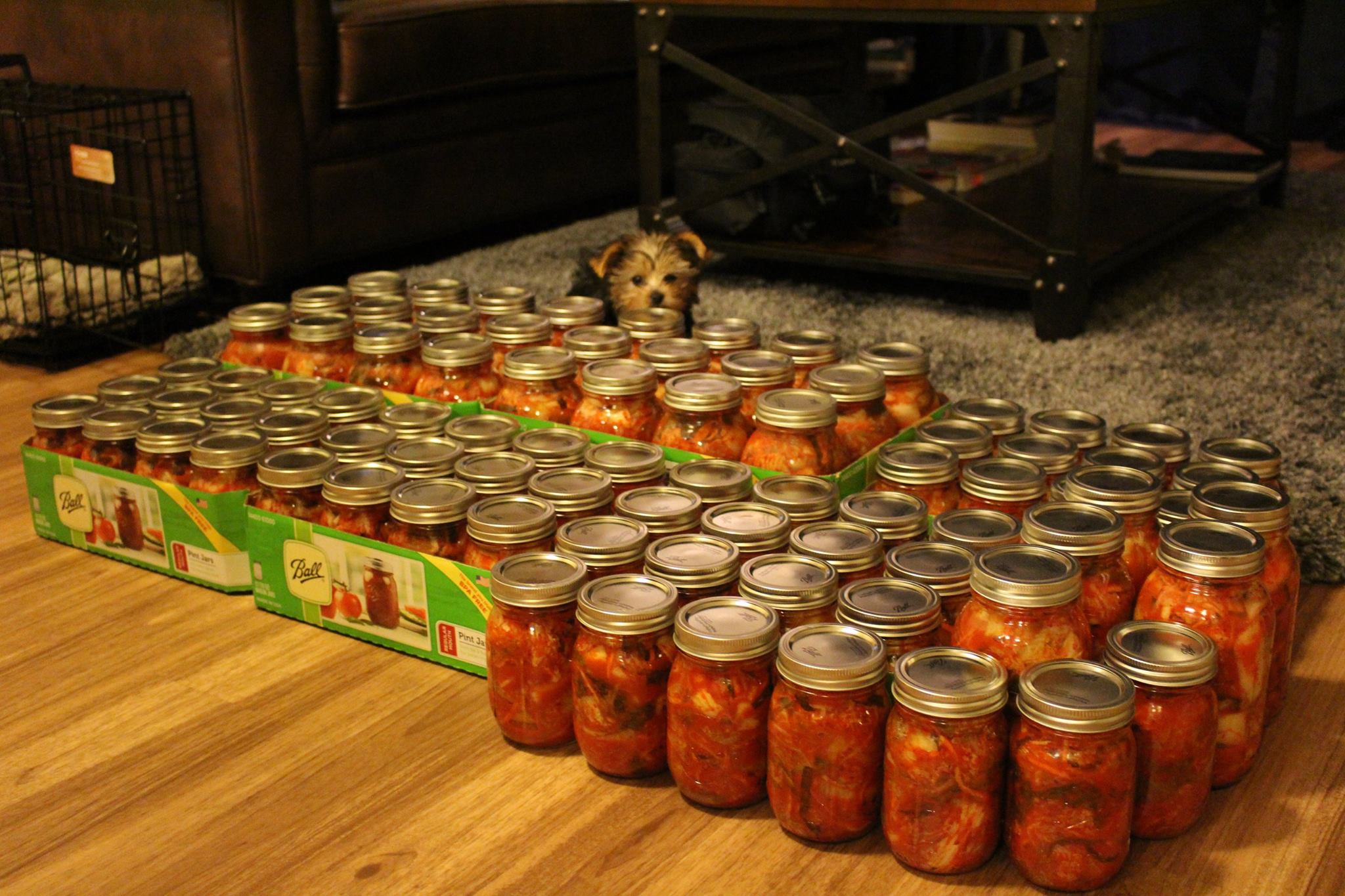 Kimchi photo bombing my finished kimchi product
