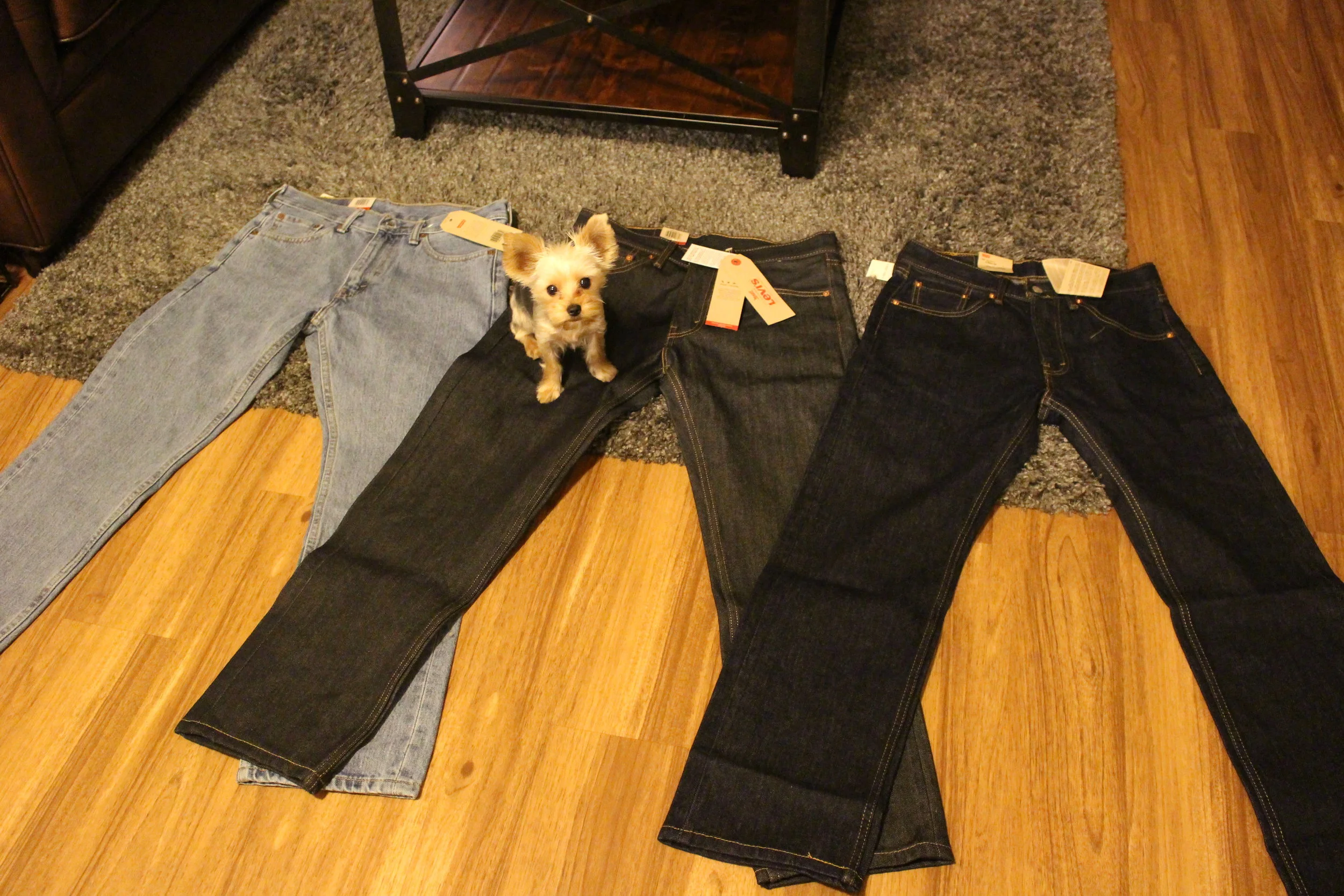 My new work pants, and Amazon decided to send me a dog as a special offer :). 