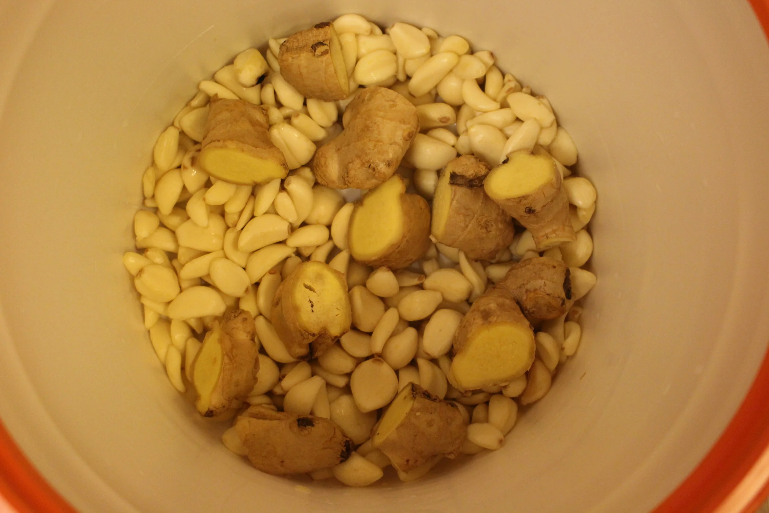 Chunks and chunks of ginger :) 