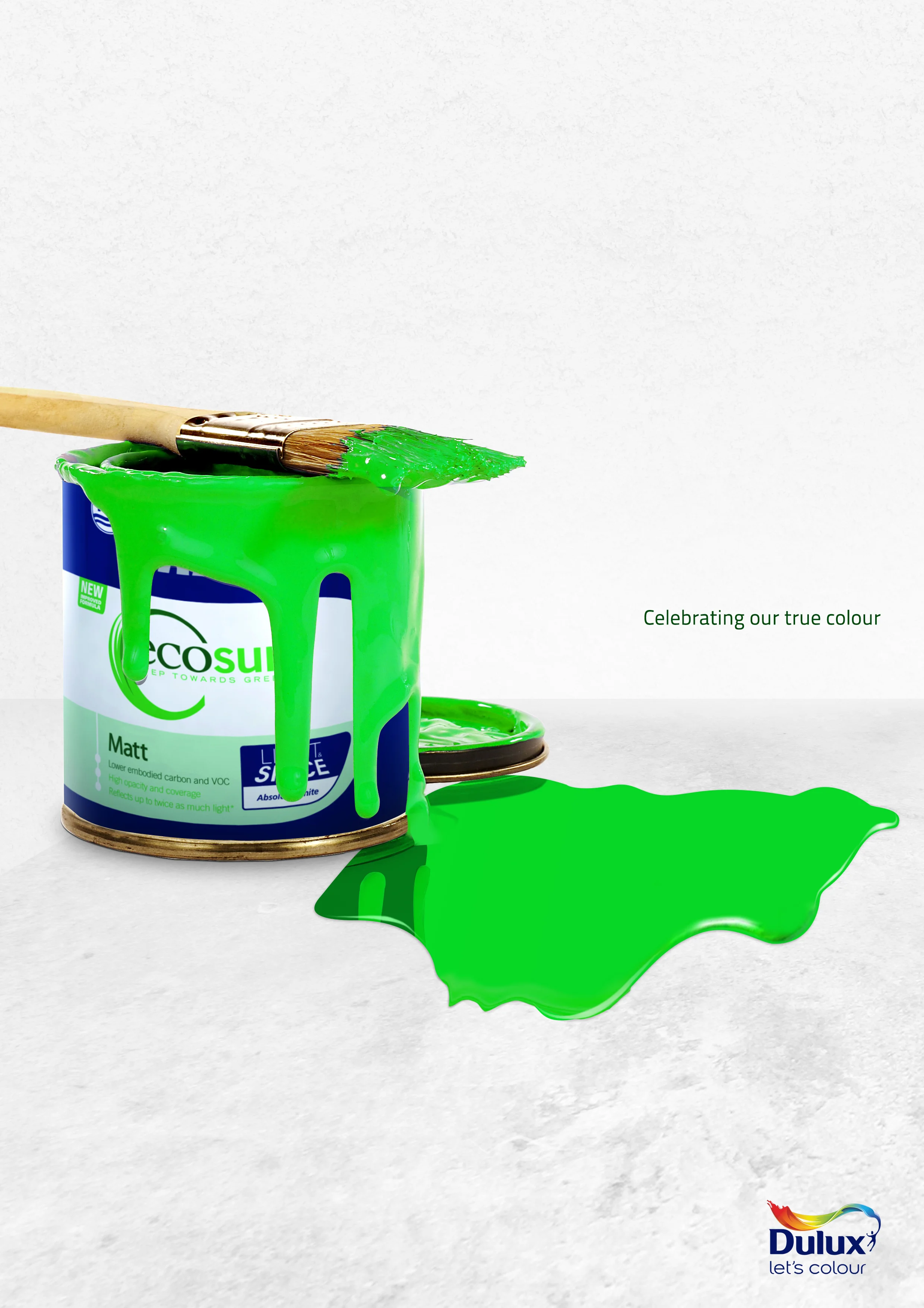 map of paint.jpg