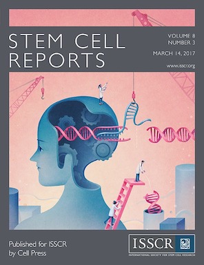 Xiaohong's paper featured on the cover of Stem Cell Reports
